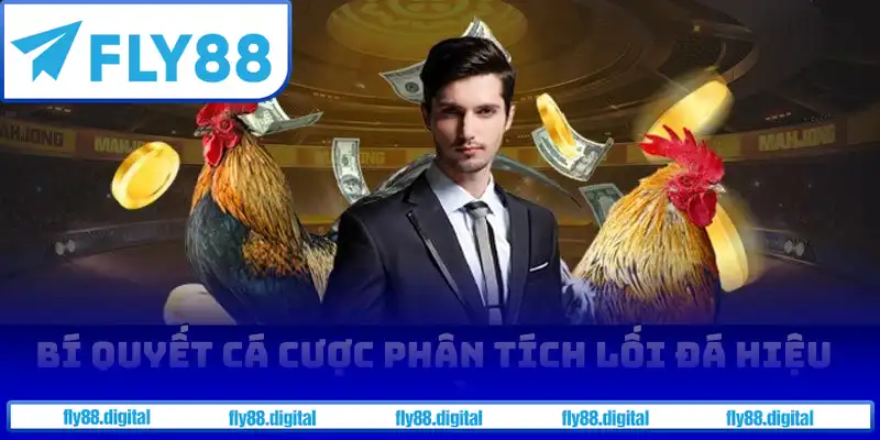 Bí quyết cá cược phân tích lối đá hiệu quả Bí quyết cá cược phân tích lối đá hiệu quả