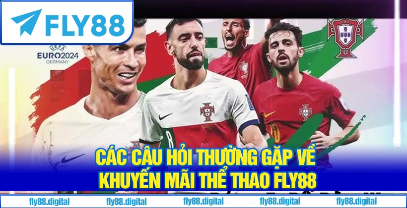 Tổng Hợp Các Câu Hỏi Thường Gặp